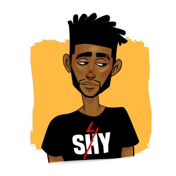 I will draw fun and original cartoons based on your ideas