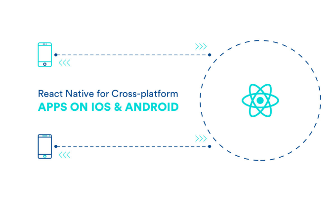 Our agency will develop your application with react js and react native