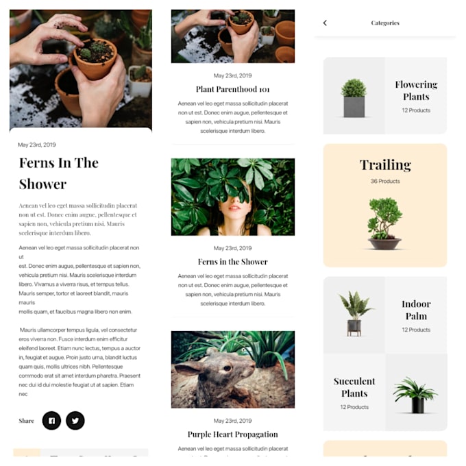 I will be your flutter developer for both android and IOS apps