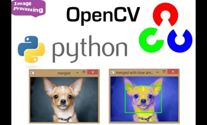 I will do deep learning using yolo, tensor flow, keras, pytorch, and opencv
